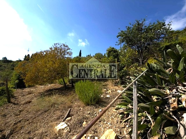 Agenzia Immobiliare Centrale Sanremo
